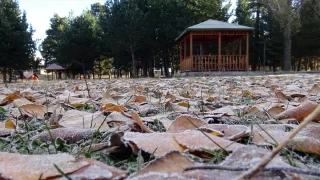 Kars’ta soğuk hava ve kırağı etkili oldu