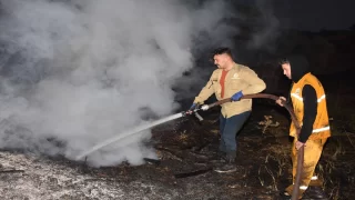 Aydın’da ormanlık ve zeytinlik alanda çıkan yangın kontrol altına alındı