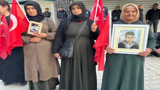 Vanlı aileler, DEM Parti İl Başkanlığı önündeki eylemlerini sürdürdü