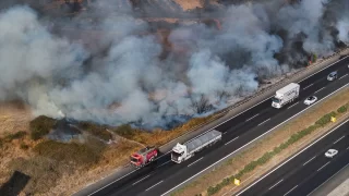 Adana’da ağaçlık alanda çıkan yangın söndürüldü