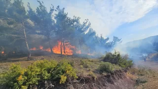 Hatay’da çıkan orman yangını söndürülmeye çalışılıyor