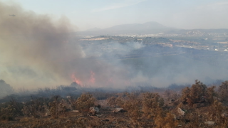 İzmir Torbalı'da çıkan yangın kontrol altına alındı