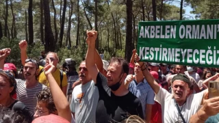 Akbelen Ormanı’ndaki ağaç katliamına karşı, 308 kurumdan ortak açıklama!