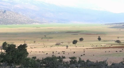 Arıtma suyu Susuz Beğiş’e can verecek