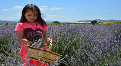 Aromaterapide şifa yolculuğu başlıyor