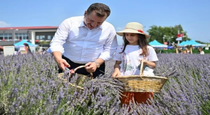 Başkan Yılmaz BAÇEM’de hasat yaptı