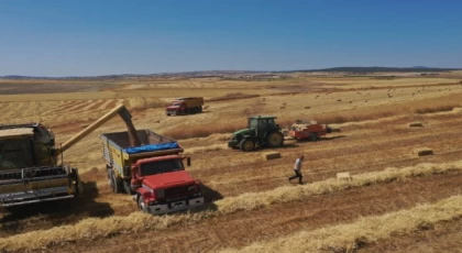 Belediyenin buğdayları un olarak dağıtılacak