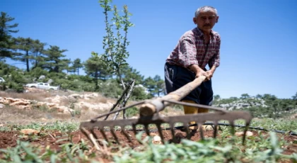 Büyükşehir desteğiyle çiftçinin yüzü gülüyor