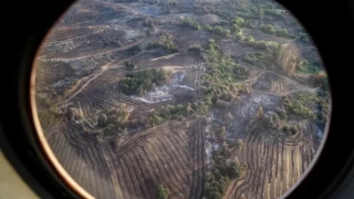 Çanakkale'deki orman yangını kontrol altına alındı