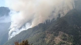 Çankırı'da ormanlık alanlara giriş yasaklandı