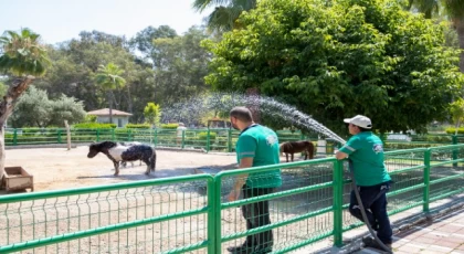 Doğa Parkı’nın sakinleri yağmurlama ile serinliyor