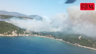 İzmir'in iki ilçesinde orman yangını!