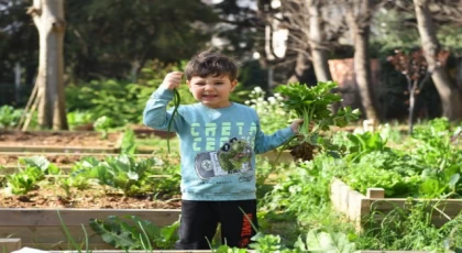 Kadıköy bostanlarında hasat zamanı