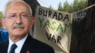 Kılıçdaroğlu ve CHP'li vekiller, Akbelen'e gidiyor