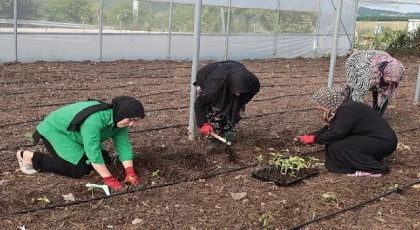 Kocaeli Büyükşehir’den kadın girişimcilere tarımsal destek