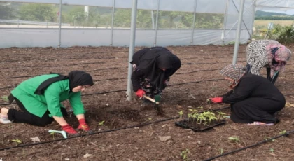 Kocaeli’den kadın girişimcilere tarımsal destek... Ata tohumları toprakla buluşturuldu