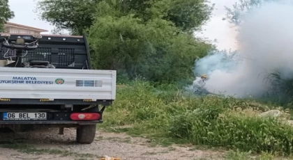 Malatya’da ilaçlama çalışmaları sürüyor