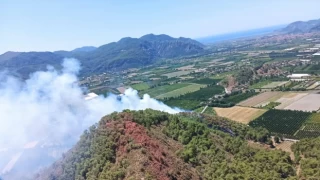 Muğla'da orman yangını