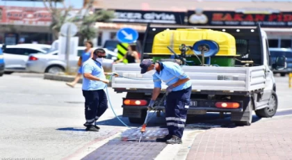 Sivrisineğin nedeni küresel iklim krizi mi?