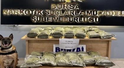 Bursa polisinden uyuşturucu ile mücadelede 188 gözaltı!