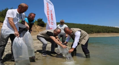 Bursa’da 5 bin yayın balığı Demirtaş’a bırakıldı