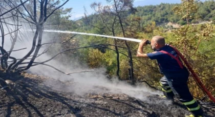 Hatay Antakya’daki orman yangınları söndürüldü