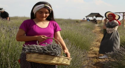 Malatya Arguvan’ın güzellikleri objektiflere yansıdı