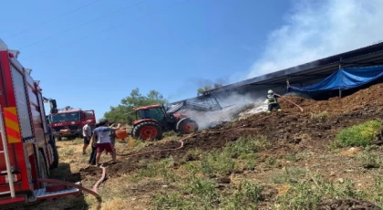 Muğla’da yangından etkilenen hayvanlara müdahale