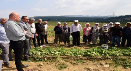 Tarım işçisinin koruyucu ekipmanları Manisa’dan