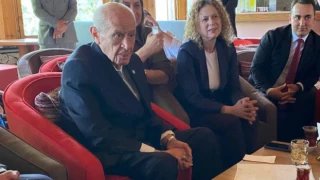 Bahçeli'den "sokak hayvanları" açıklaması: Öğlen sıcağında mutlaka uyurlar!