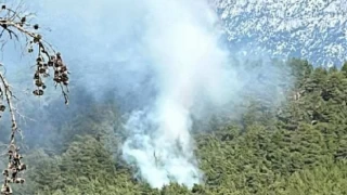 Antalya'da Köprülü Milli Parkı'nda orman yangını