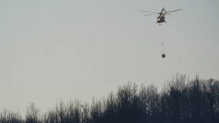 İzmir'deki 3 orman yangını kontrol altına alındı