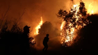 Rekor sıcaklıklar: Orman yangınları geçen yıla göre yaklaşık 5 kat arttı
