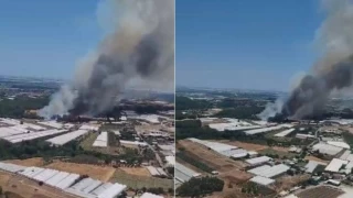 Antalya'da yerleşim yerleri yakınında yangın