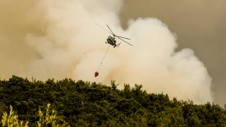 Çanakkale Valiliği'nden orman yangınlarına karşı uyarı