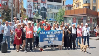 SOL Parti, Trabzon'da "Fındıkta ve çayda sömürüye son!" mitingi gerçekleştirdi