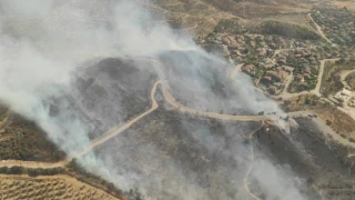 İzmir, Urla'da orman yangını