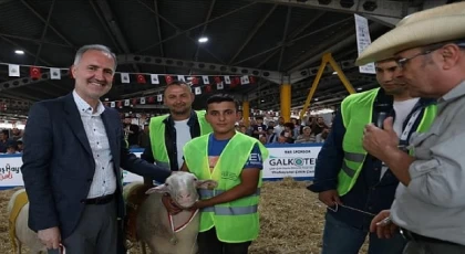 Yerli Tavuk Irkları İle Koçlar İnegöl’de Podyuma Çıkacak