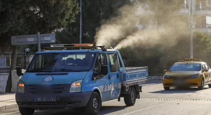 Buca Belediyesi, beyaz sineklere karşı ilaçlama başlattı