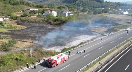 Düzce’de anız yangını! Fındık arazisi zarar gördü!