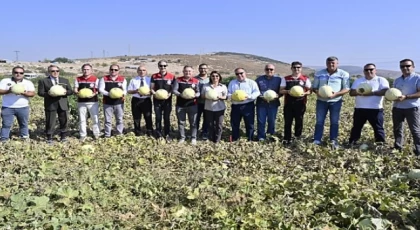 Foça’da 5. Geleneksel Kavun Hasat Şenliği Coşkuyla Kutlandı