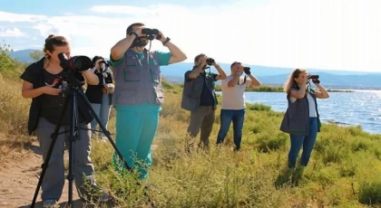 İzmit Körfezi’nin pembe süsleri geldi