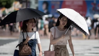 Japonya'da kavurucu sıcaklar: 248 kişi hayatını kaybetti