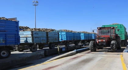 Konya’da pancar alımları başladı... Bu yıl verim iyi!