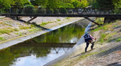 Sakarya’da Çark Deresi’nin çevresi temizleniyor