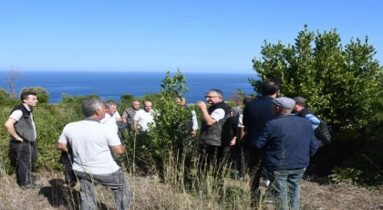 Bursa Orman, Mudanya kırsalında defne sahalarını iyileştirecek