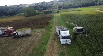 Büyükşehir destekledi, üreticinin yüzü güldü