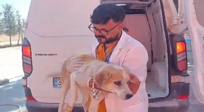 Didim’de Kuyuya Düşen Köpek Belediye Ekiplerince Kurtarıldı