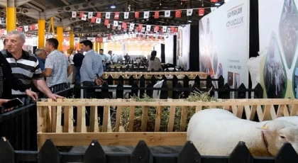 İnegöl’de Küçükbaş Hayvancılık Festivali Başladı