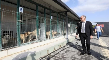 İnegöl’de Sokak Hayvanları İçin Yeni Adımlar Atılıyor